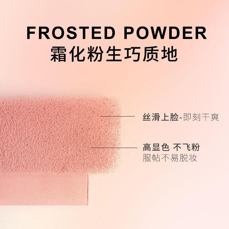 2 Colors Contour Tray 4.6g