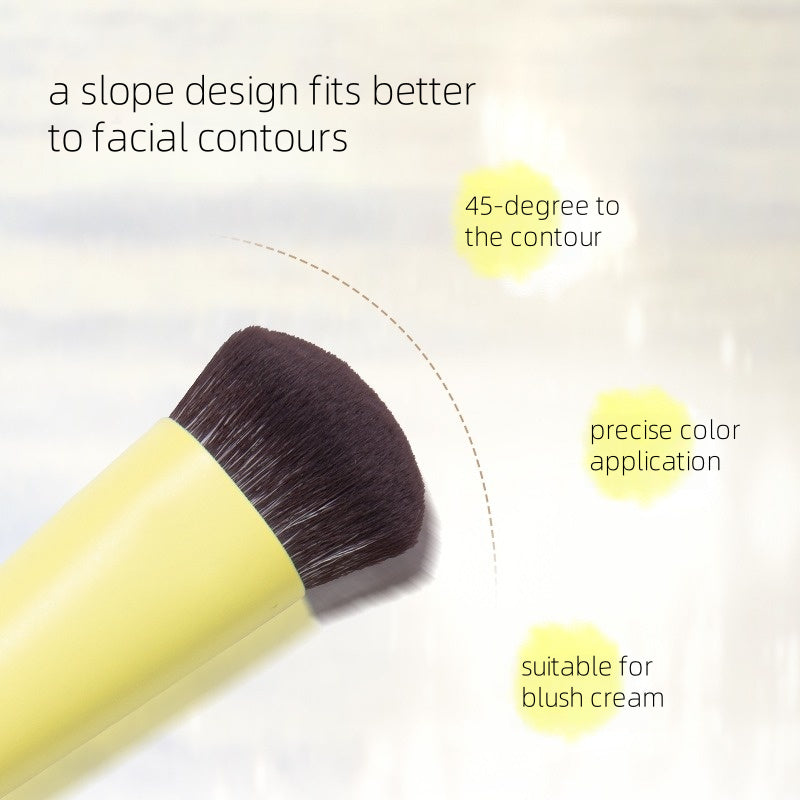 Blush Brush Single Pack