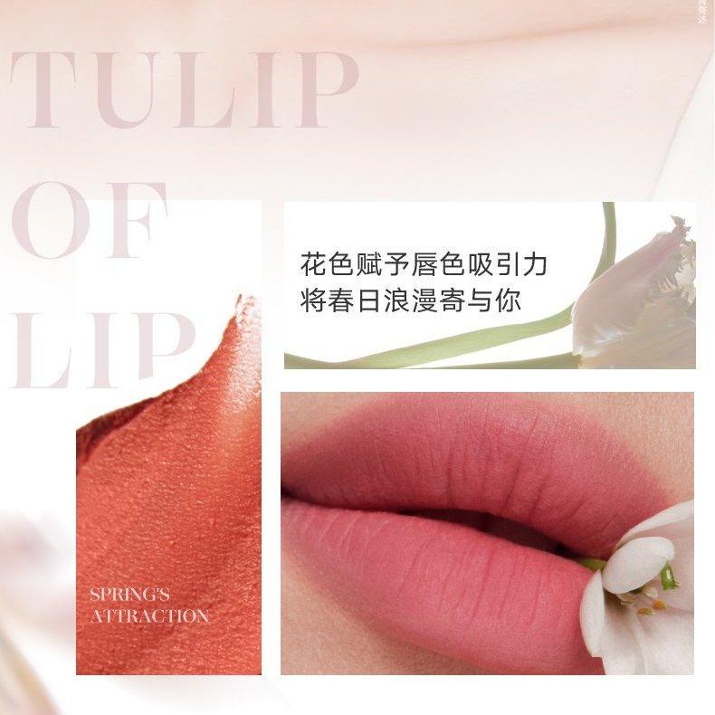Long Wearing Lip Mud 4g