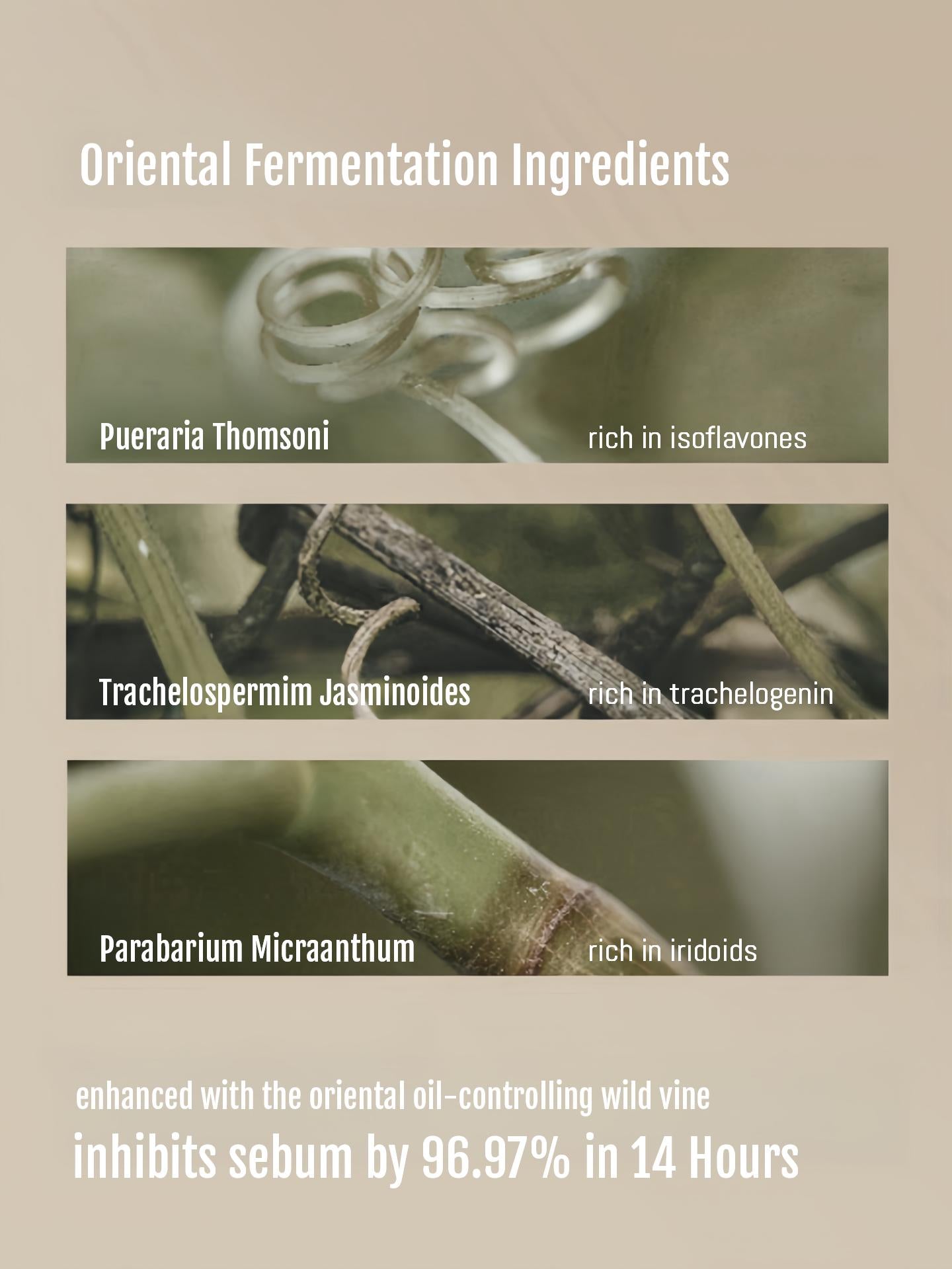 Marie Dalgar- Vine Blurring Longwear Powder Pact 10g