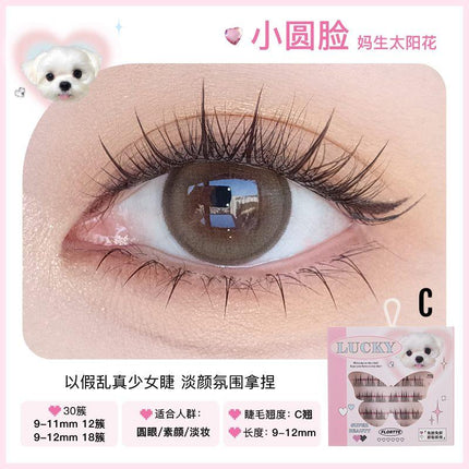 Flortte - Super Beauty Glue Free False Eyelashes