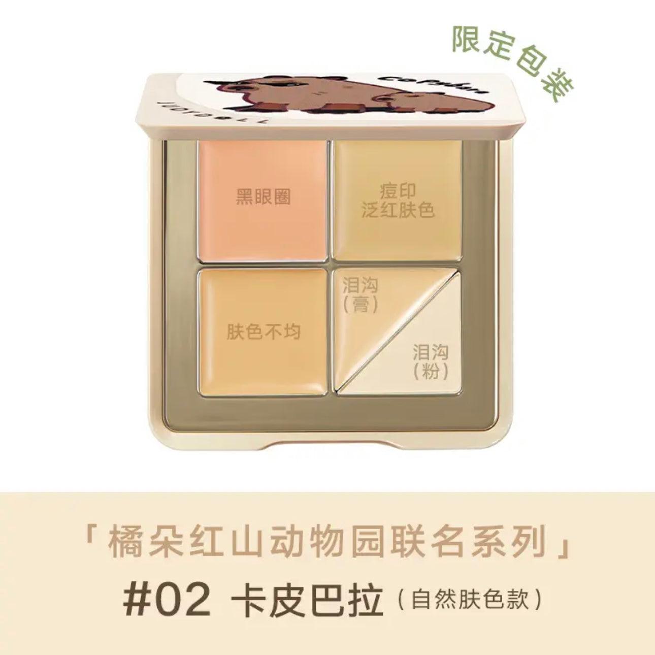 Palette anti-cernes Judydoll Traceless Cloud Touch 6 g