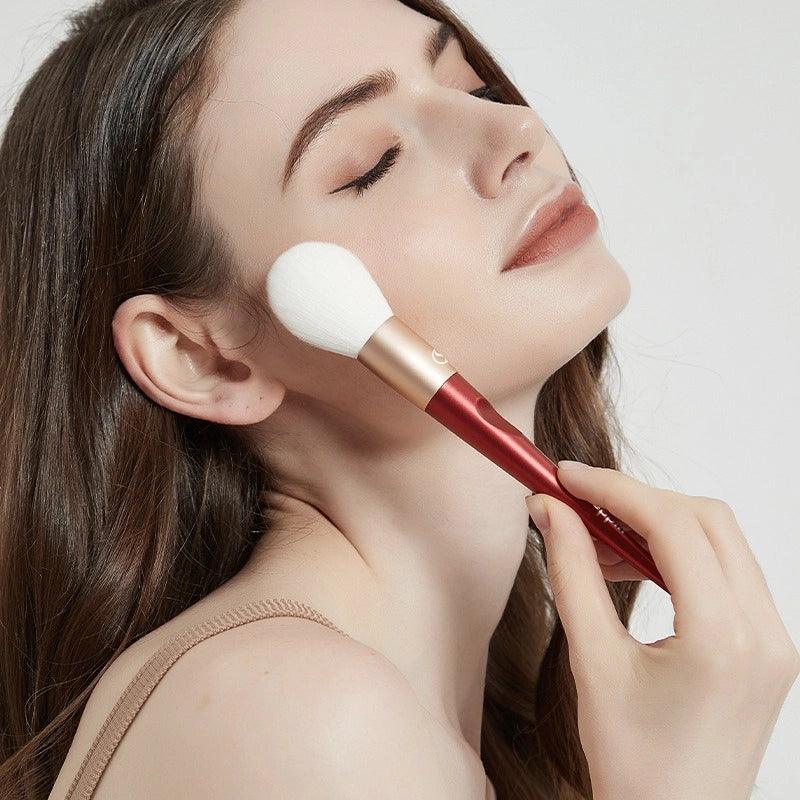 Ensemble de 10 pinceaux pour le visage Shang Yang Beauty