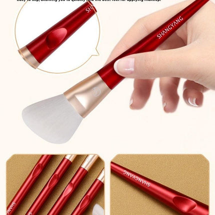 Shang Yang - Beauty Face 10 Brushes Set