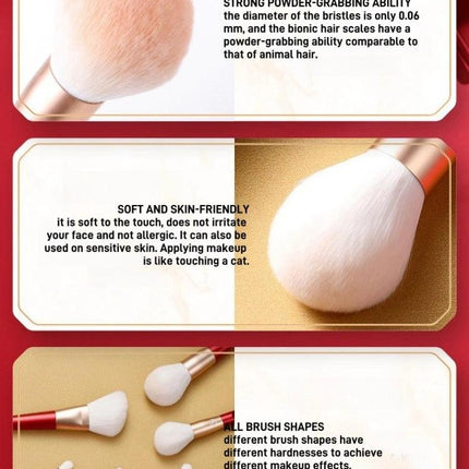 Shang Yang - Beauty Face 10 Brushes Set