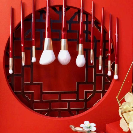 Shang Yang - Beauty Face 10 Brushes Set